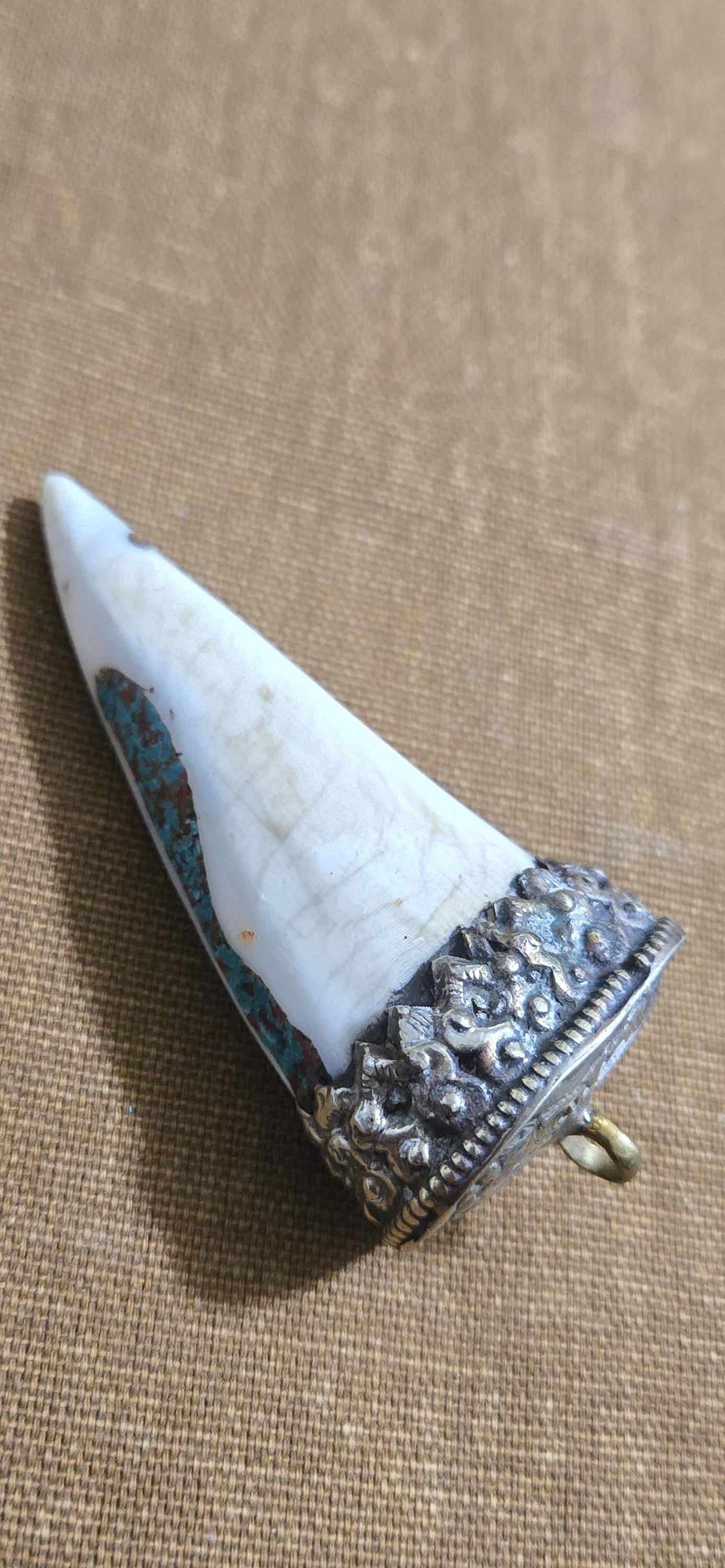 Large Tibetan silver capped naga conch shell tusk horn shape pendant with Tibetan OM turquoise coral inlaid - PM438G1
