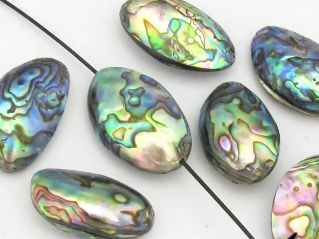 1 Bead - Large size double sided Abalone Paua Shell Beads - BD677