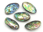 1 Bead - Large size double sided Abalone Paua Shell Beads - BD677
