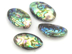 1 Bead - Large size double sided Abalone Paua Shell Beads - BD677