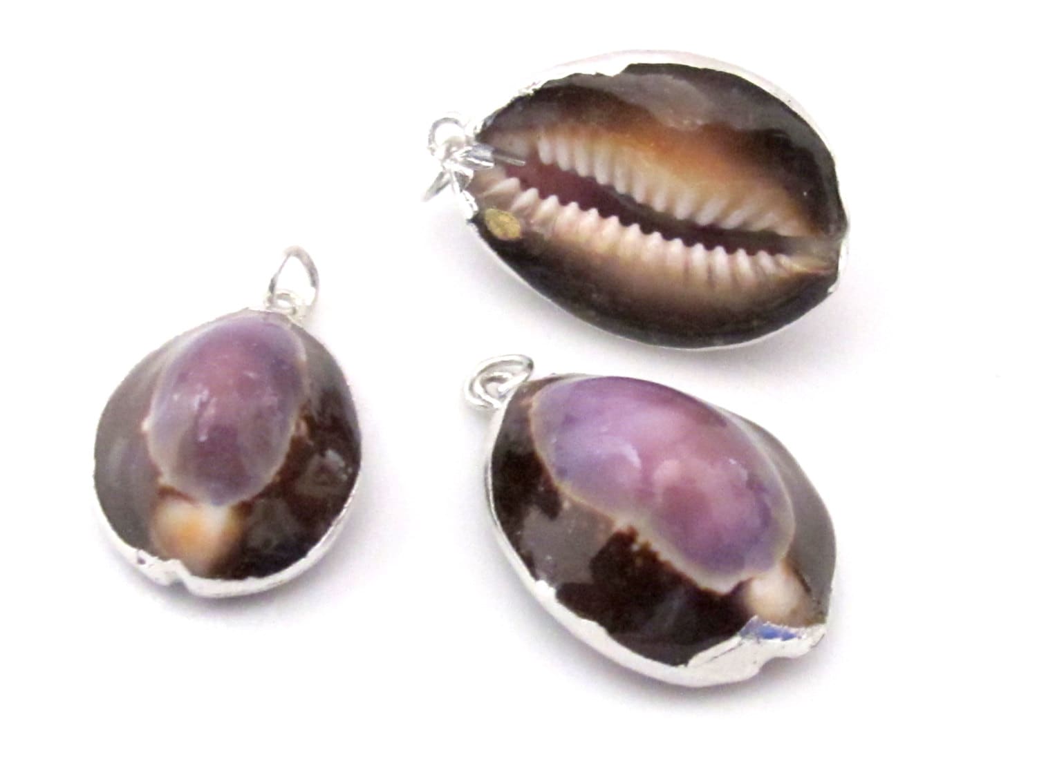 1 Pendant - Exotic Silver plated purple top cowrie shell pendant - SP036