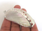 Large Silver edged abalone white mother of pearl shell pendant - 1 piece - SP037