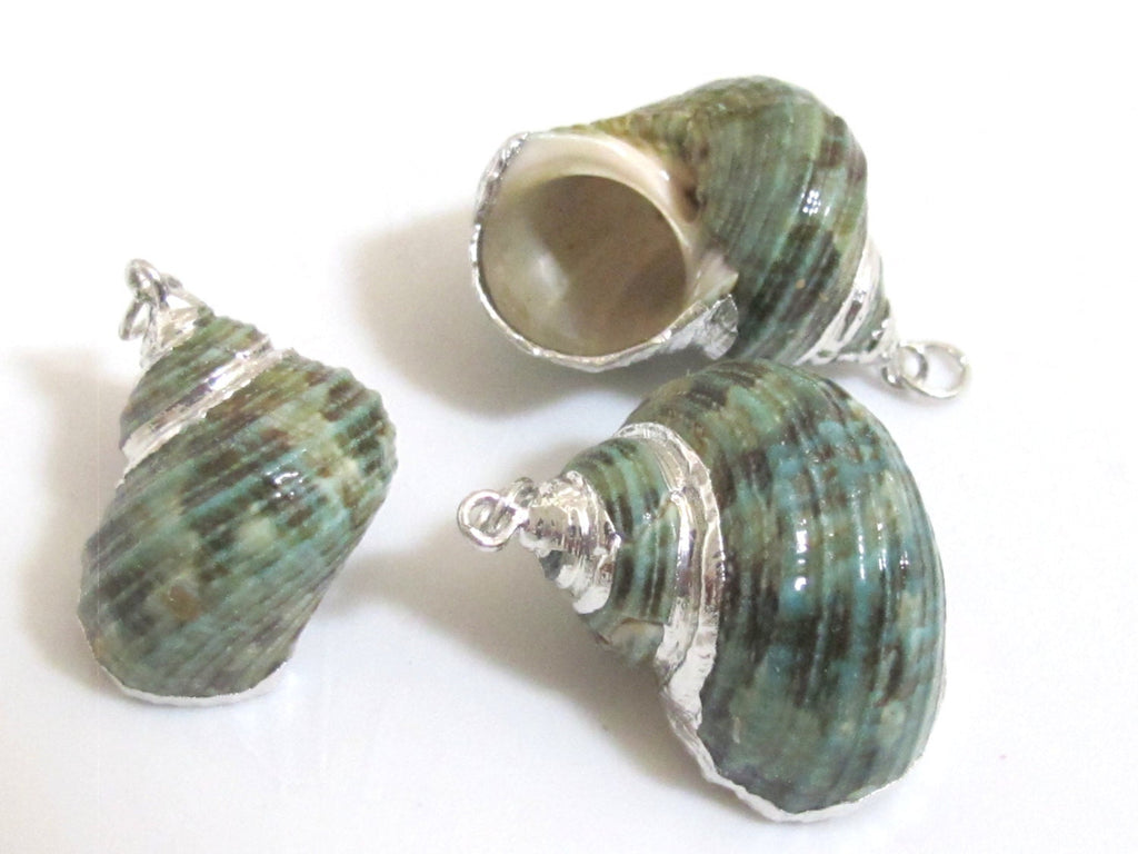 1 Pendant - Silver plated green turbo spiral shell pendant - 1 piece - SP040