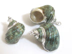 1 Pendant - Silver plated green turbo spiral shell pendant - 1 piece - SP040