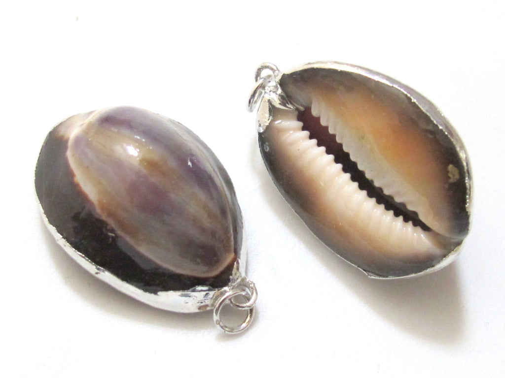 1 Pendant - Exotic Silver plated purple top cowrie shell pendant - SP036