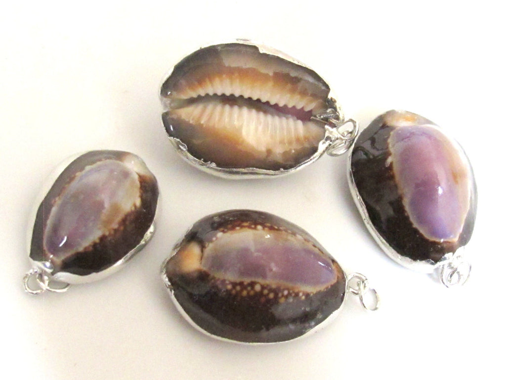1 Pendant - Exotic Silver plated purple top cowrie shell pendant - SP036