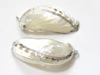 Large Silver edged abalone white mother of pearl shell pendant - 1 piece - SP037