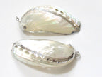 Large Silver edged abalone white mother of pearl shell pendant - 1 piece - SP037