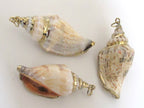 1 Pendant - Gold plated brown spiral conch shell pendant - SP039
