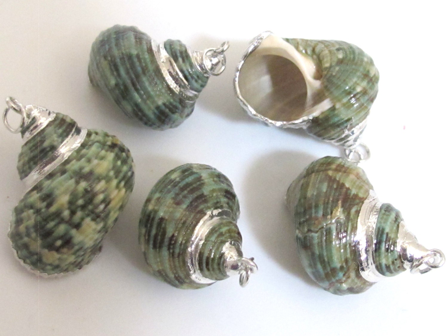 1 Pendant - Silver plated green turbo spiral shell pendant - 1 piece - SP040