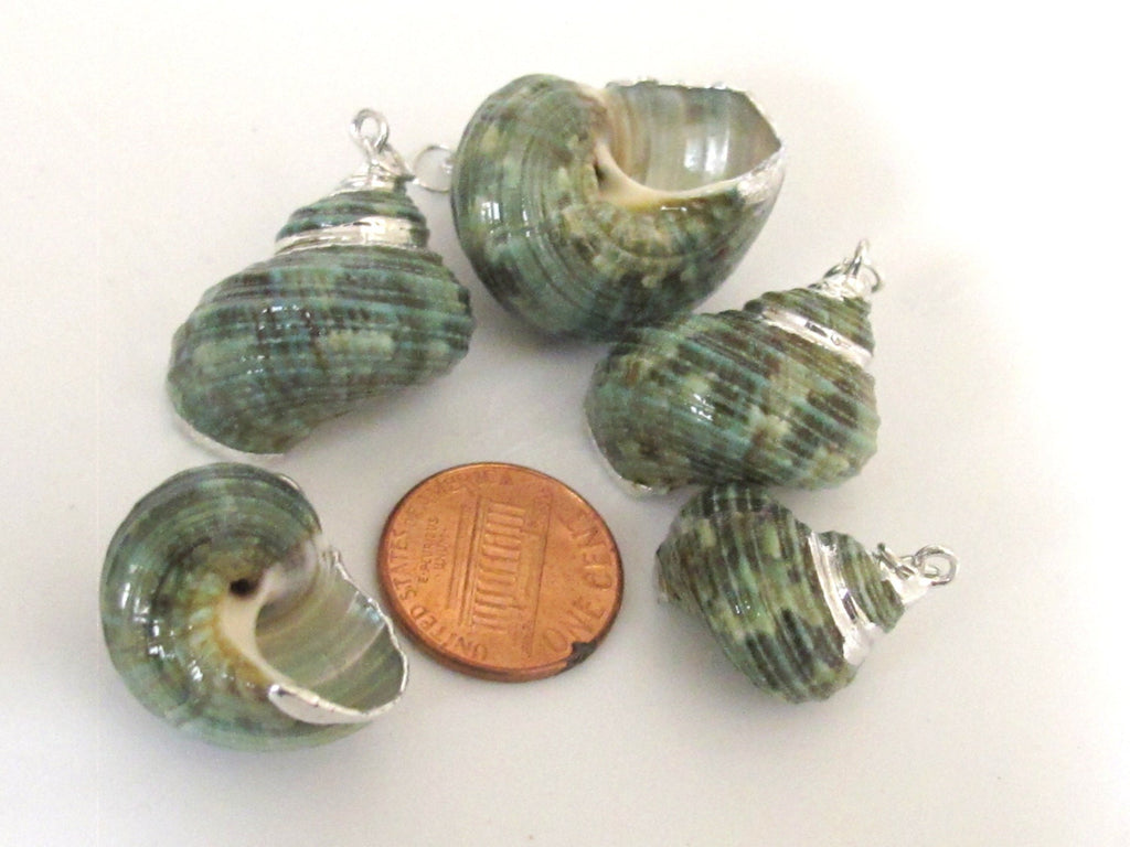 1 Pendant - Silver plated green turbo spiral shell pendant - 1 piece - SP040
