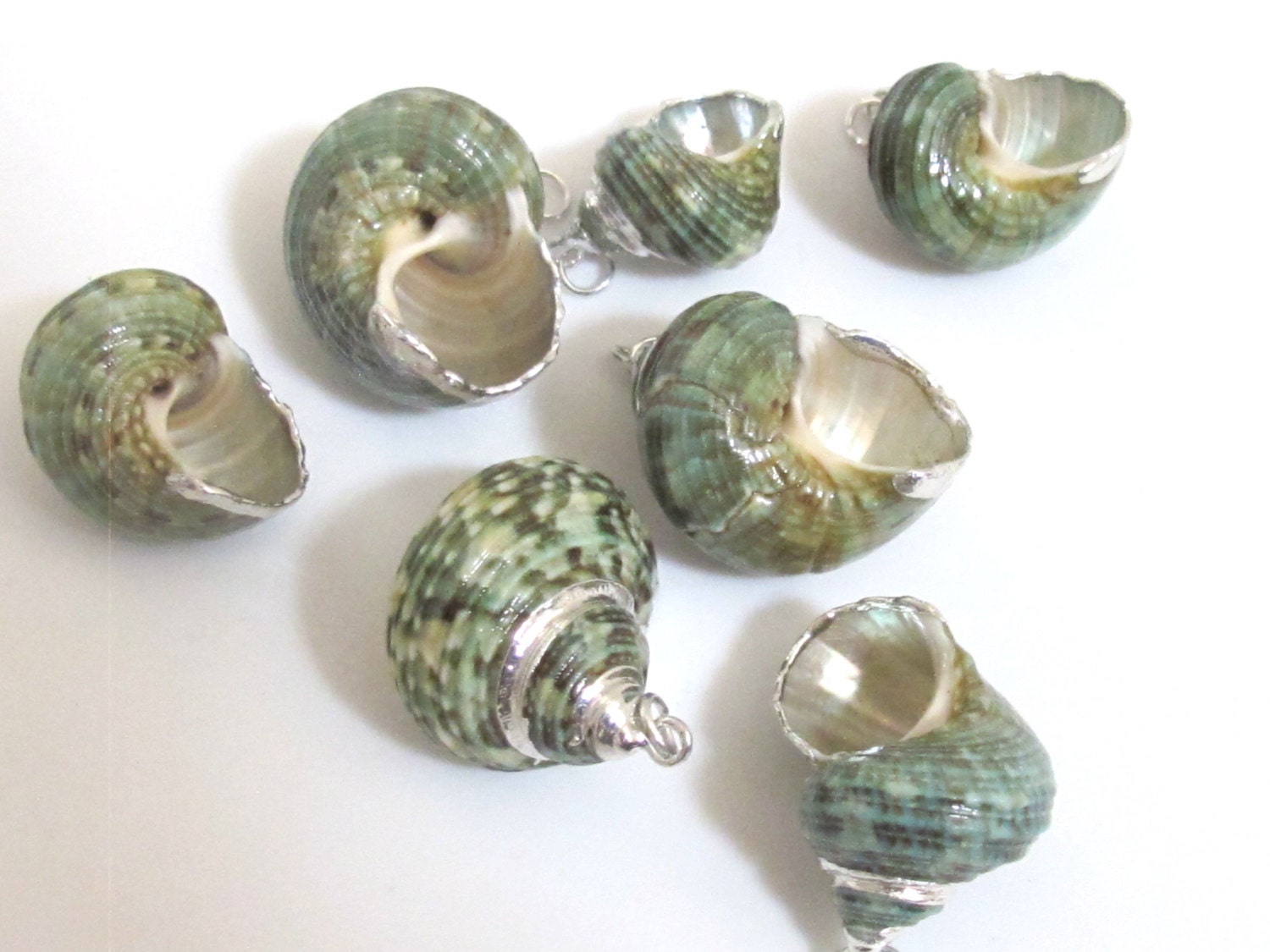 1 Pendant - Silver plated green turbo spiral shell pendant - 1 piece - SP040