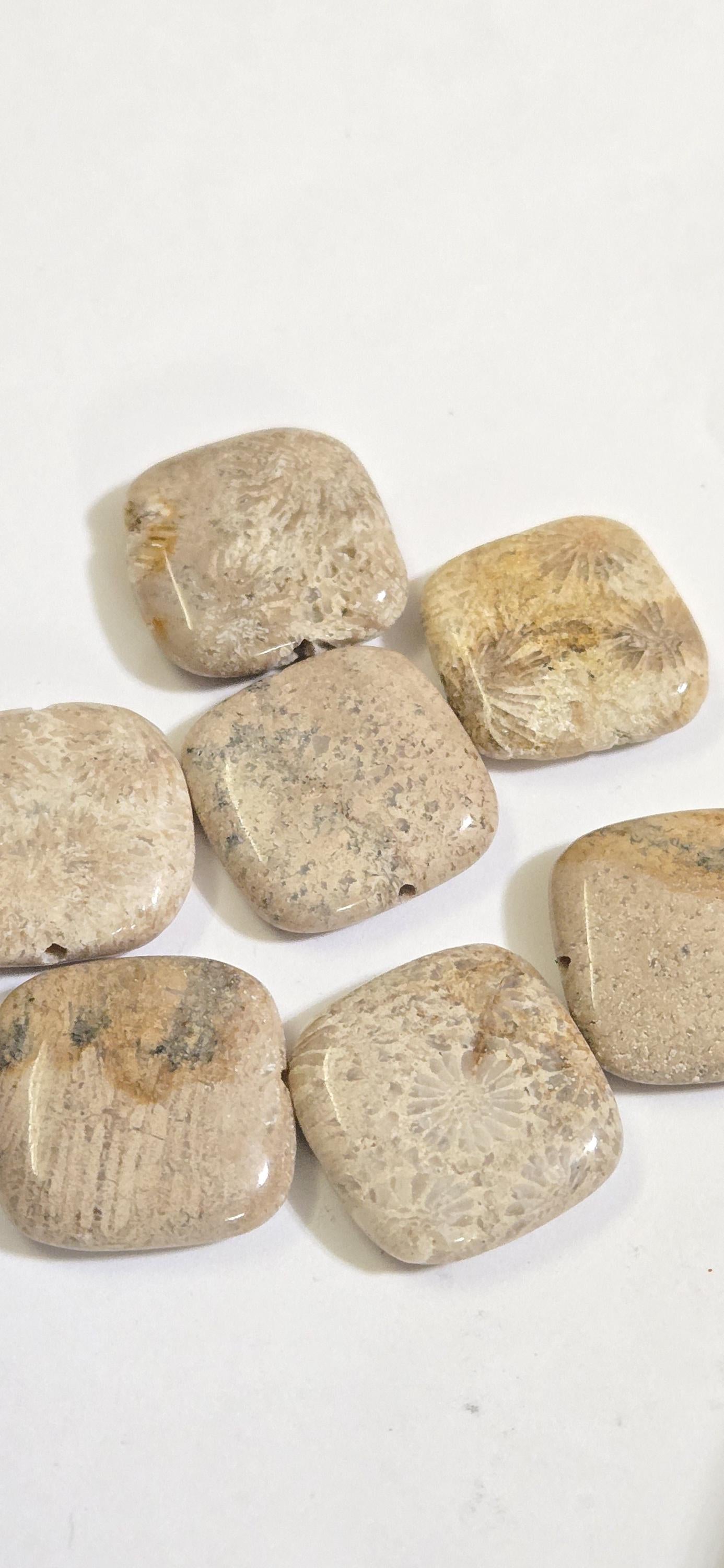 4 Beads - Fossil coral agate square tile shape beads 20 mm- GM150