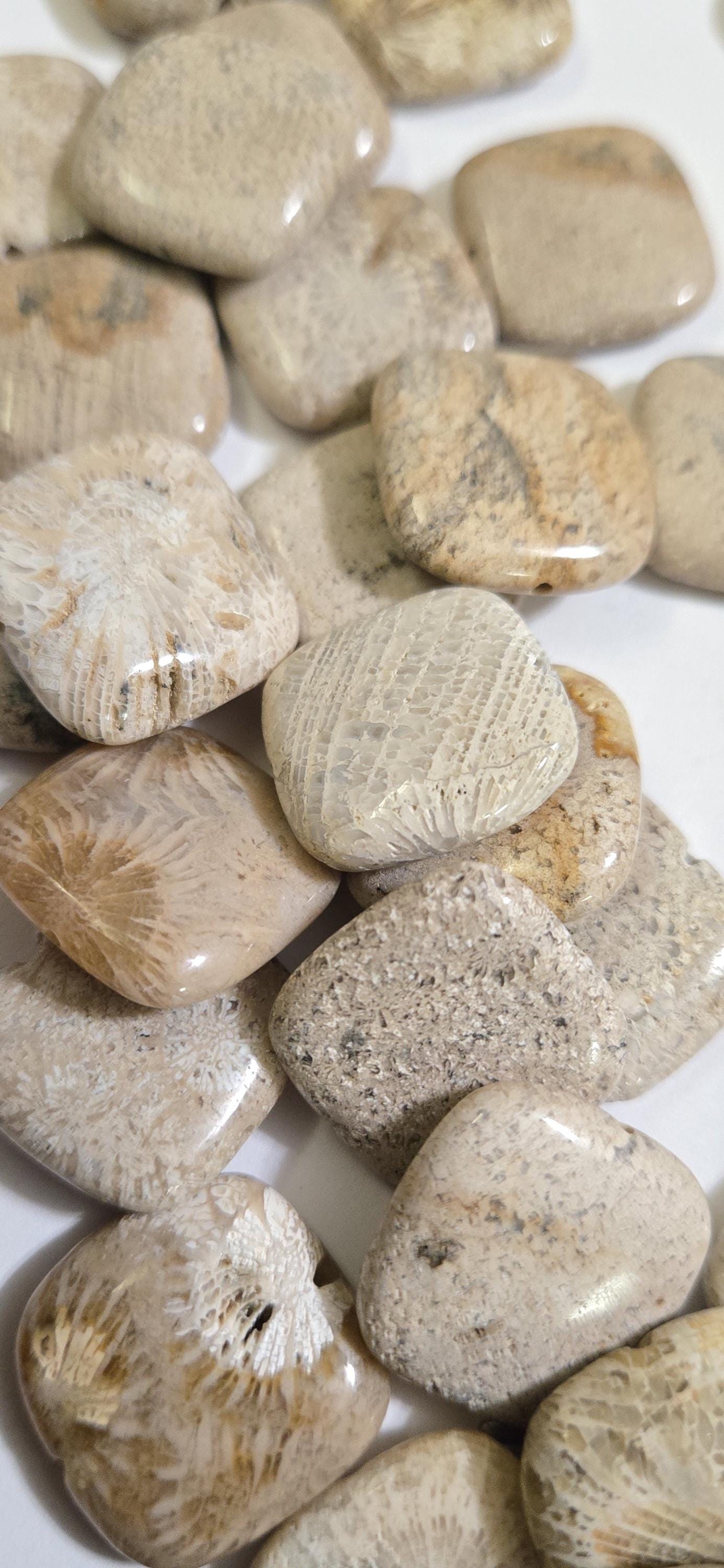 4 Beads - Fossil coral agate square tile shape beads 20 mm- GM150