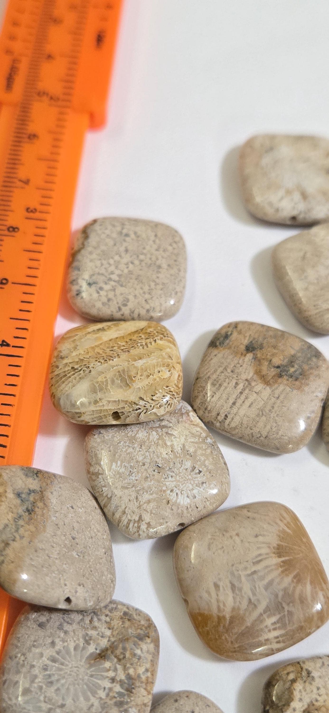 4 Beads - Fossil coral agate square tile shape beads 20 mm- GM150