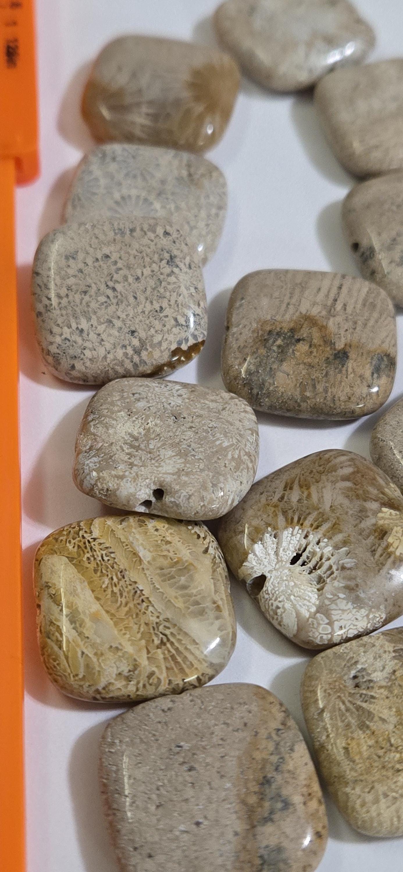 4 Beads - Fossil coral agate square tile shape beads 20 mm- GM150