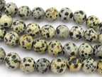 10 Beads- Round Dalmatian Jasper beads 10 mm - GM364
