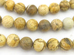 10 BEADS - Earthy coffee tone picture Jasper round gemstone beads 10 mm - GM360