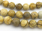 10 BEADS - Earthy coffee tone picture Jasper round gemstone beads 10 mm - GM360