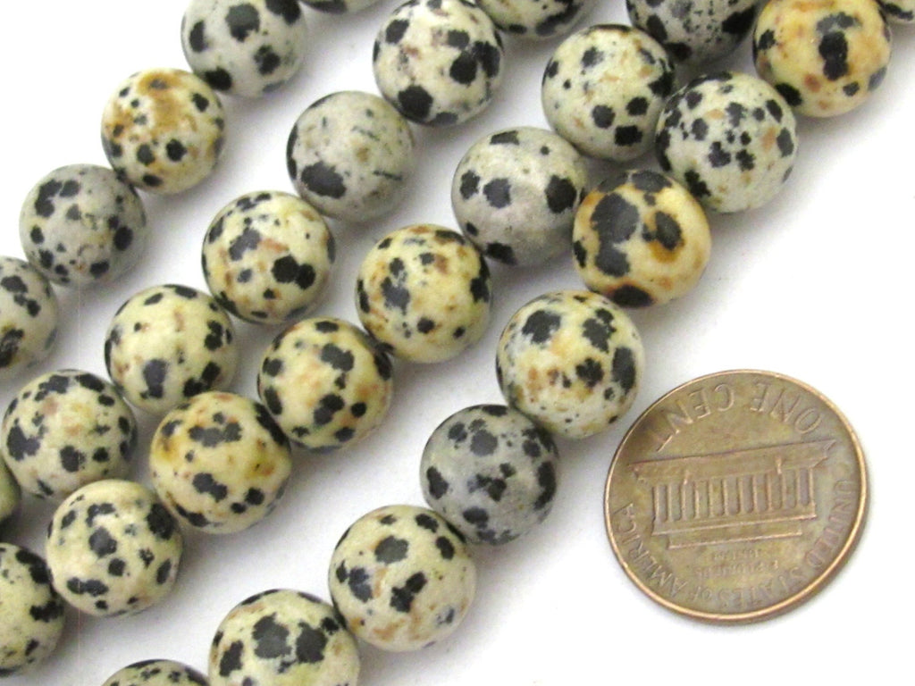 10 Beads- Round Dalmatian Jasper beads 10 mm - GM364