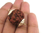 4 BEADS - Large Natural Rudraksha seed beads capped connector beads from Nepal - NB135