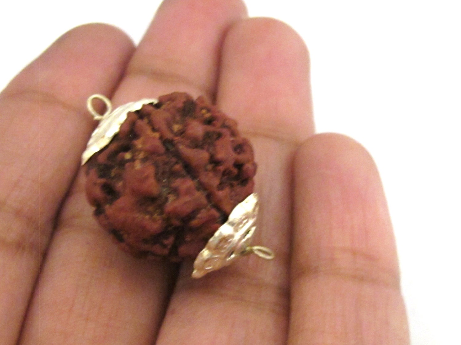 4 BEADS - Large Natural Rudraksha seed beads capped connector beads from Nepal - NB135