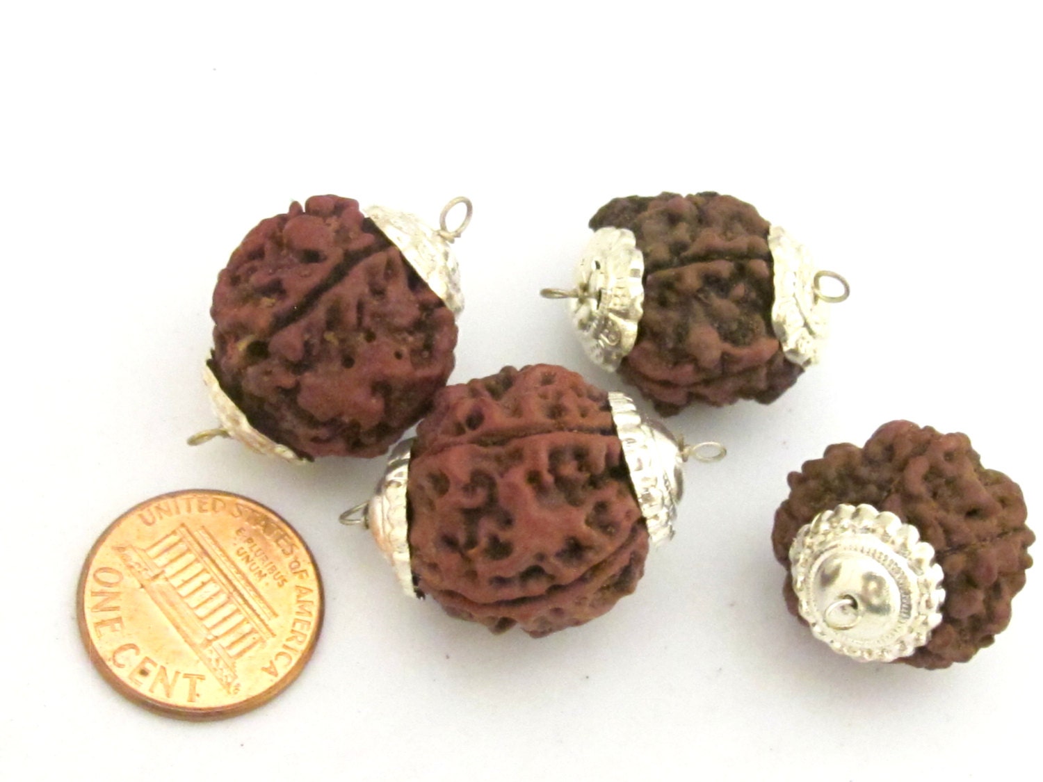 4 BEADS - Large Natural Rudraksha seed beads capped connector beads from Nepal - NB135
