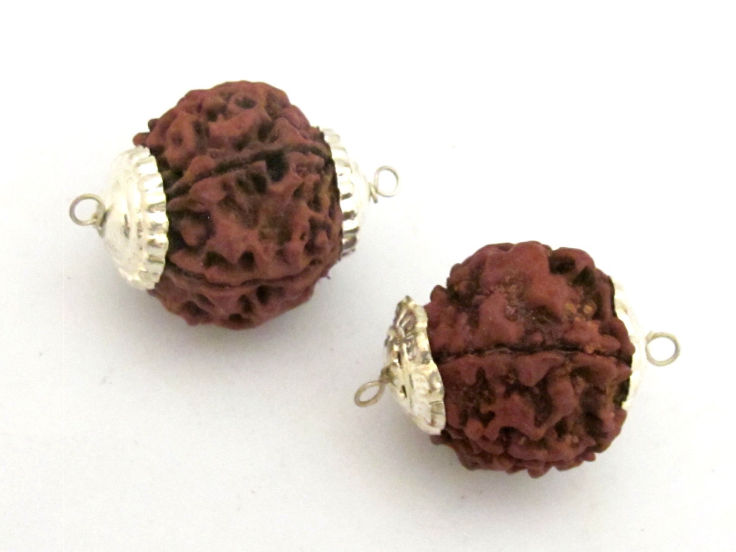 4 BEADS - Large Natural Rudraksha seed beads capped connector beads from Nepal - NB135
