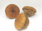 2 BEADS - Large wide big size coconut beads - NB137
