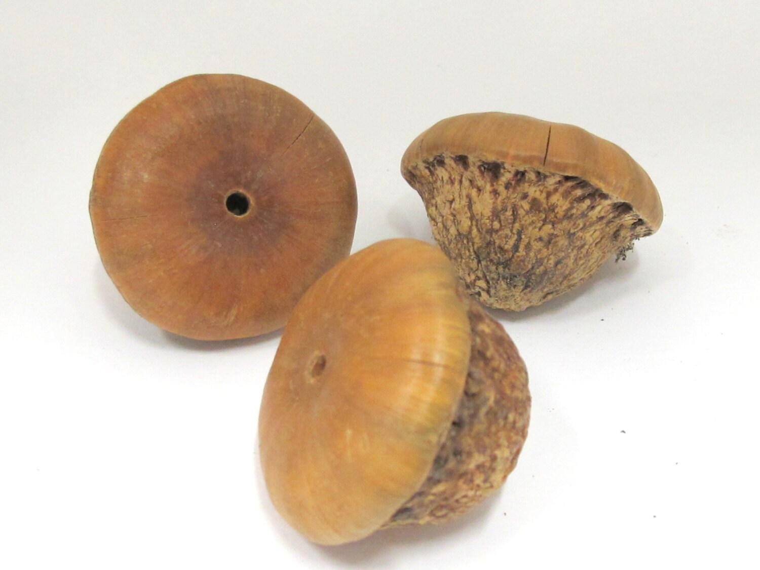 2 BEADS - Large wide big size coconut beads - NB137