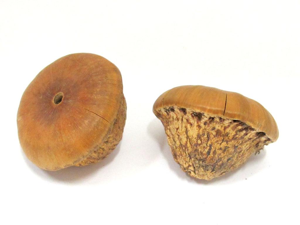 2 BEADS - Large wide big size coconut beads - NB137