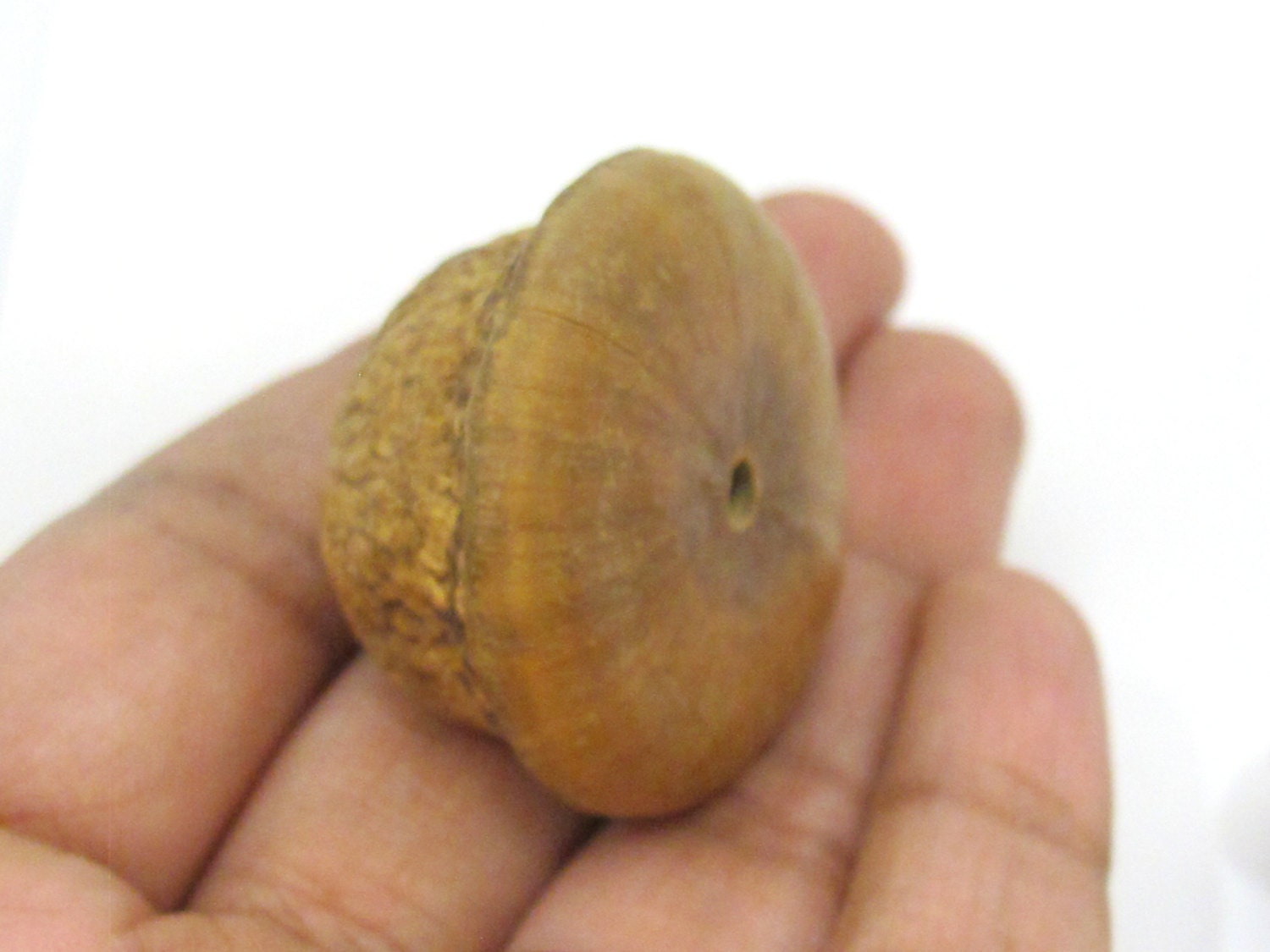 2 BEADS - Large wide big size coconut beads - NB137