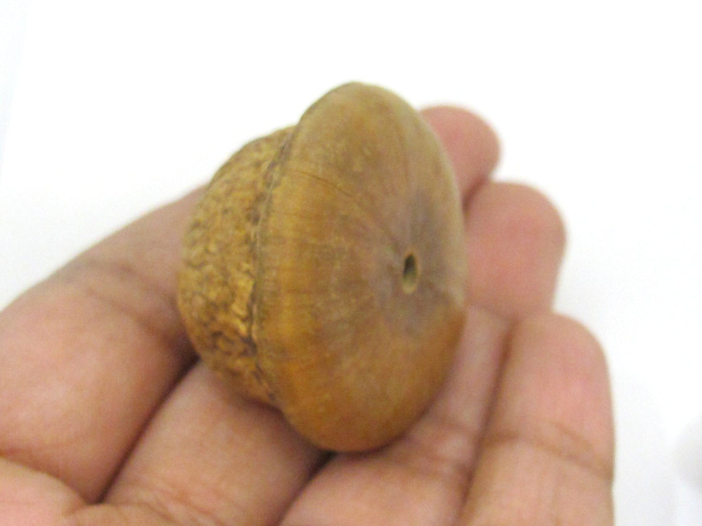 2 BEADS - Large wide big size coconut beads - NB137