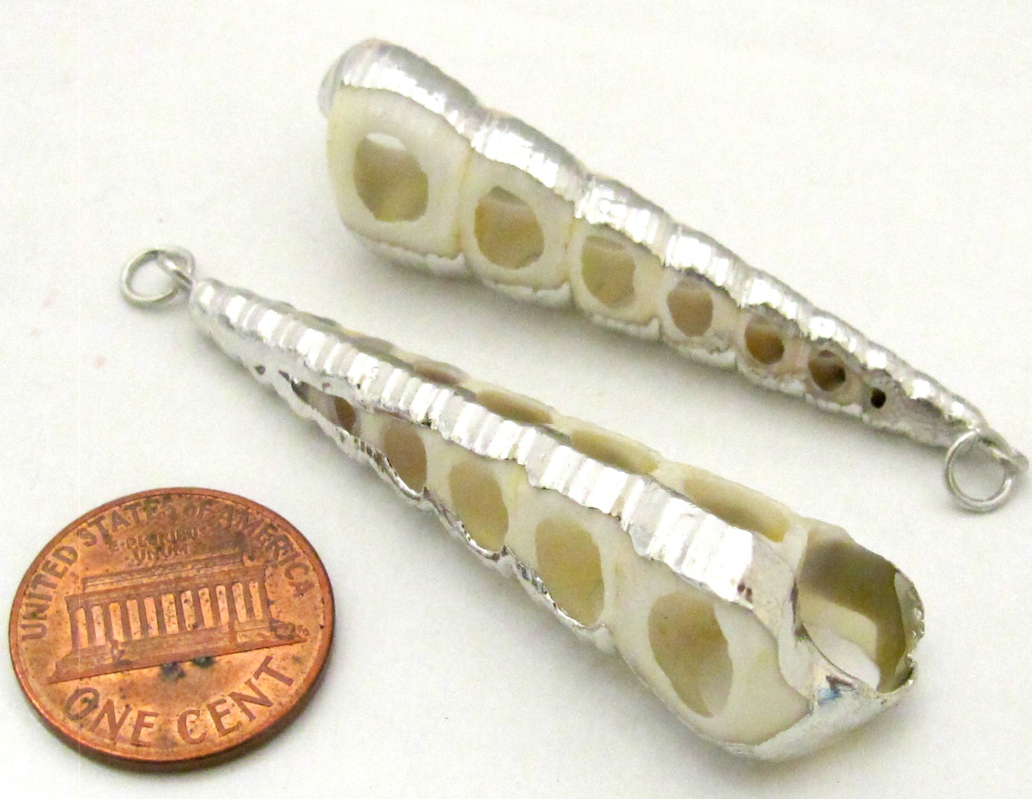 1 Pendant - Long sliced conical shell Silver plated shell pendant - SP042