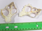 1 Large complete center cut conch shell pendant - 3 to 4 inches long - SP043