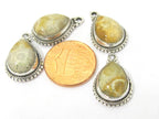 1 Pc - Small petite size Natural Fossil Coral drop charm pendant encased in Sterling silver stamped - PM417A