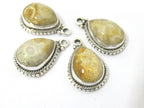 1 Pc - Small petite size Natural Fossil Coral drop charm pendant encased in Sterling silver stamped - PM417A