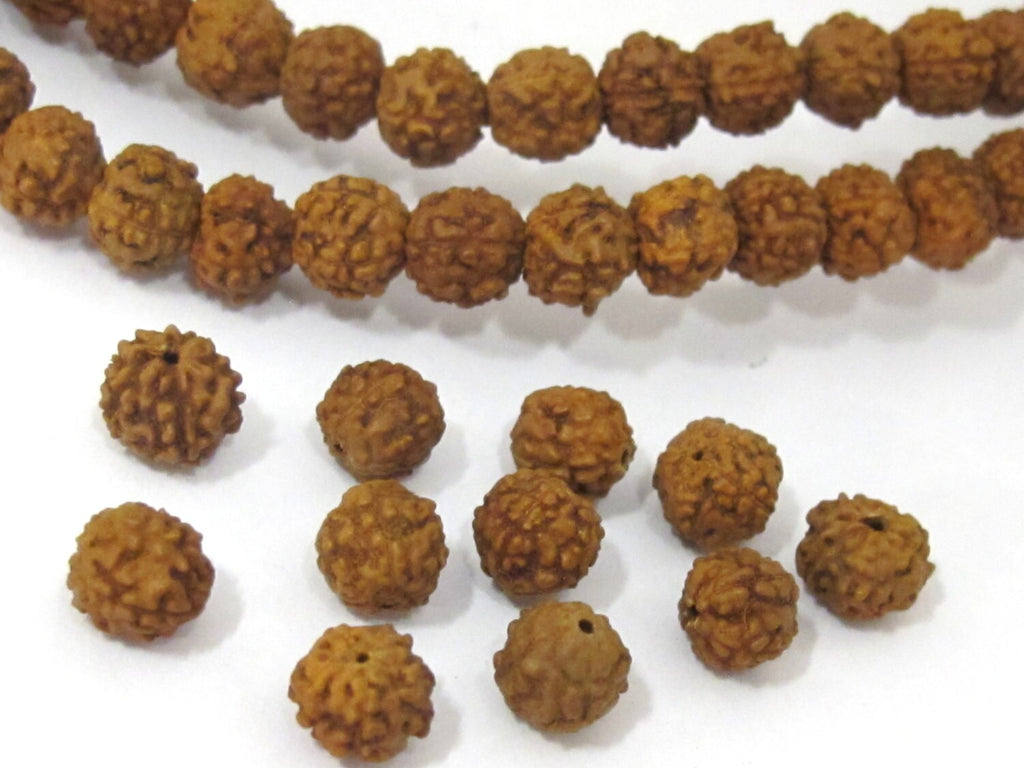 108 Beads - Small natural Rudraksha seed beads from Nepal 6 mm - NB143A
