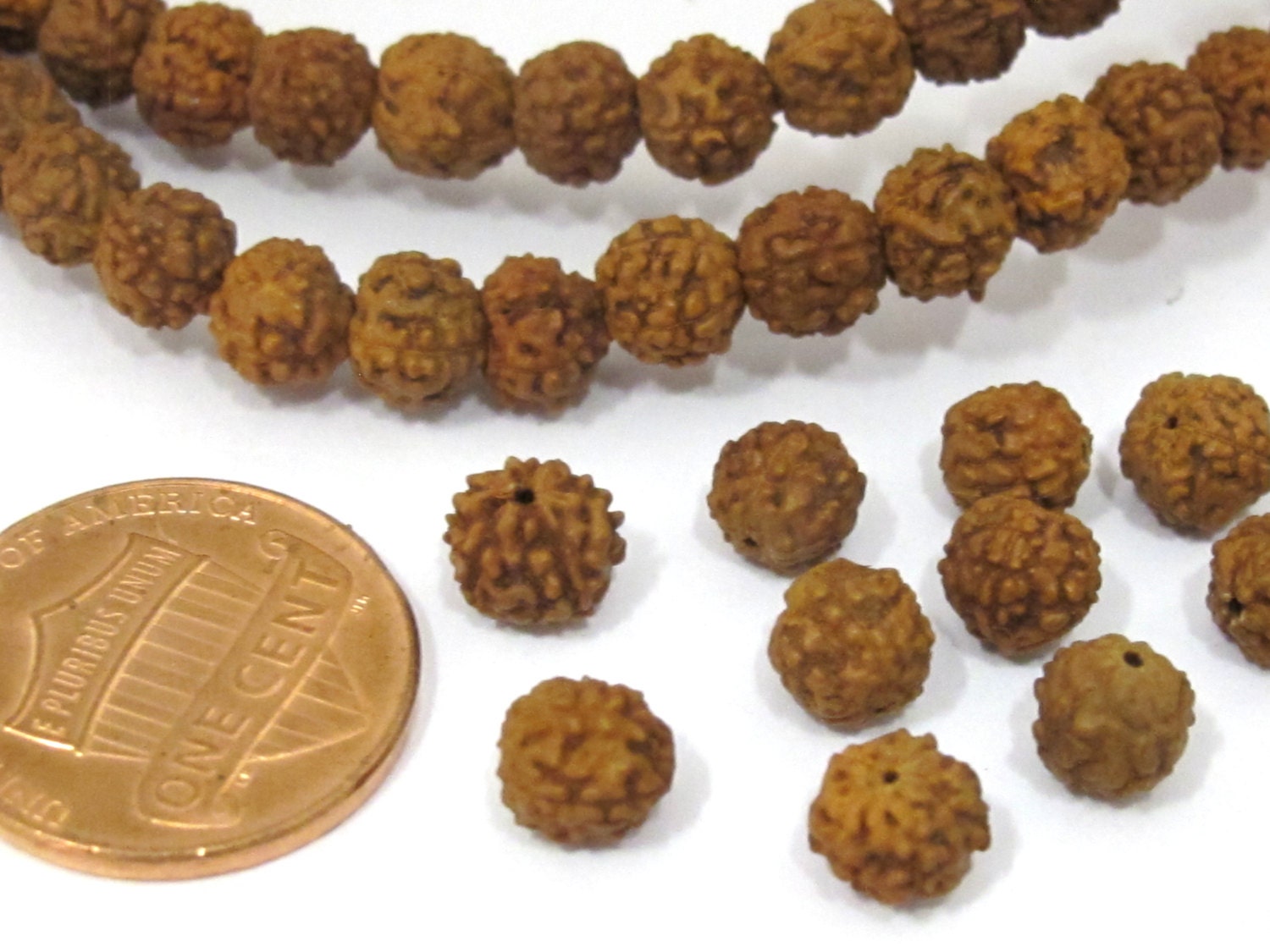20 Beads - Small natural Rudraksha seed beads from Nepal 6 mm - NB143B