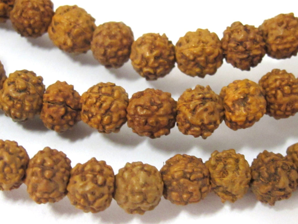 108 Beads - Small natural Rudraksha seed beads from Nepal 6 mm - NB143A