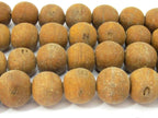 10 Beads - Old Tibetan Bodhi beads large size 13 to 15 mm - NB144