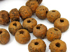 10 Beads - Large size old bodhi seed beads from Nepal - NB147