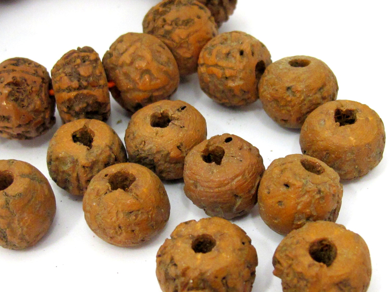 10 Beads - Large size old bodhi seed beads from Nepal - NB147