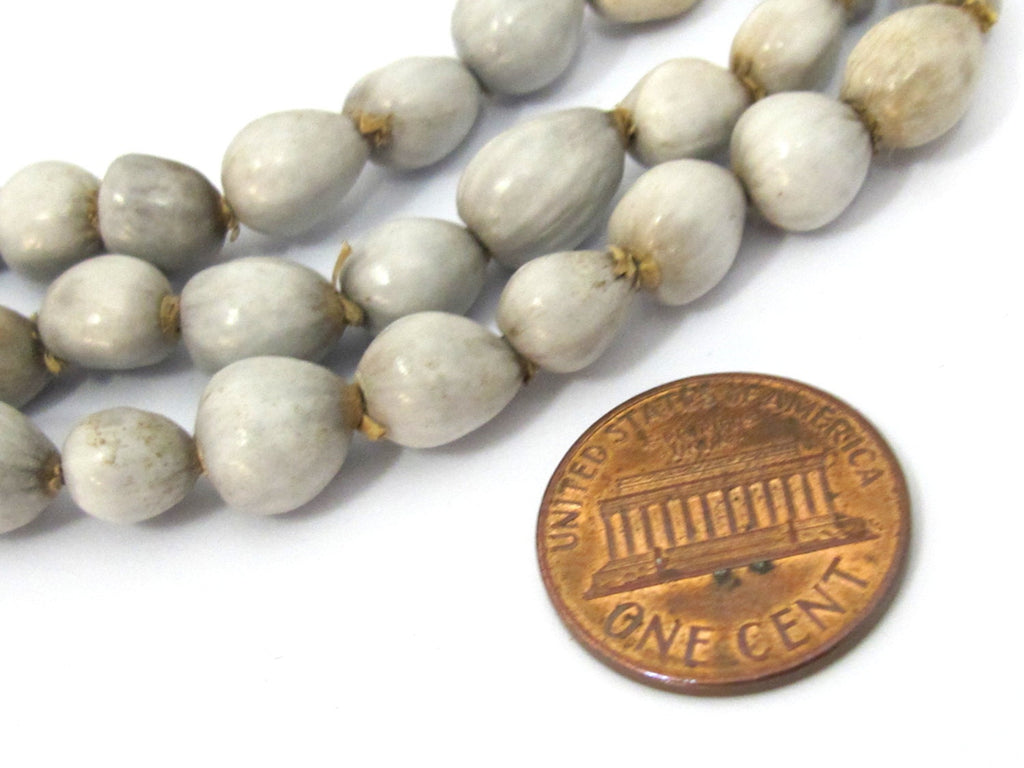 25 BEADS - Light weight Natural whole nut panyas seed beads teardrop shape - ML045B