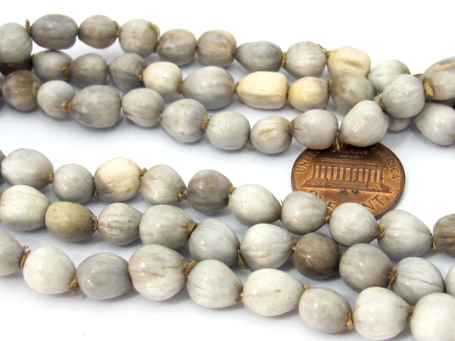 25 BEADS - Light weight Natural whole nut panyas seed beads teardrop shape - ML045B
