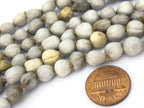 25 BEADS - Light weight Natural whole nut panyas seed beads teardrop shape - ML045B