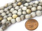 25 BEADS - Light weight Natural whole nut panyas seed beads teardrop shape - ML045B