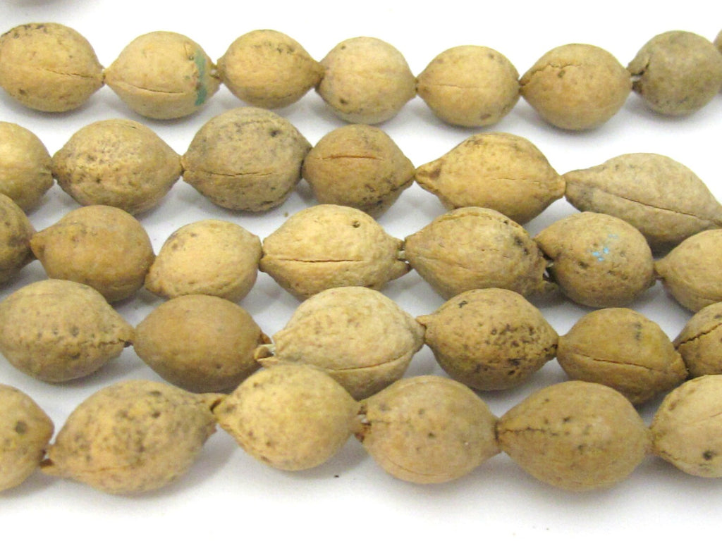 10 Beads - Natural putijia seed beads - ML053B