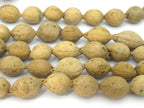10 Beads - Natural putijia seed beads - ML053B