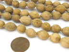 10 Beads - Natural putijia seed beads - ML053B